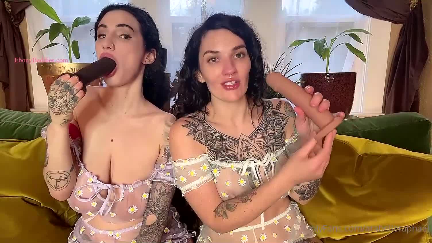 arabelleraphael  4
