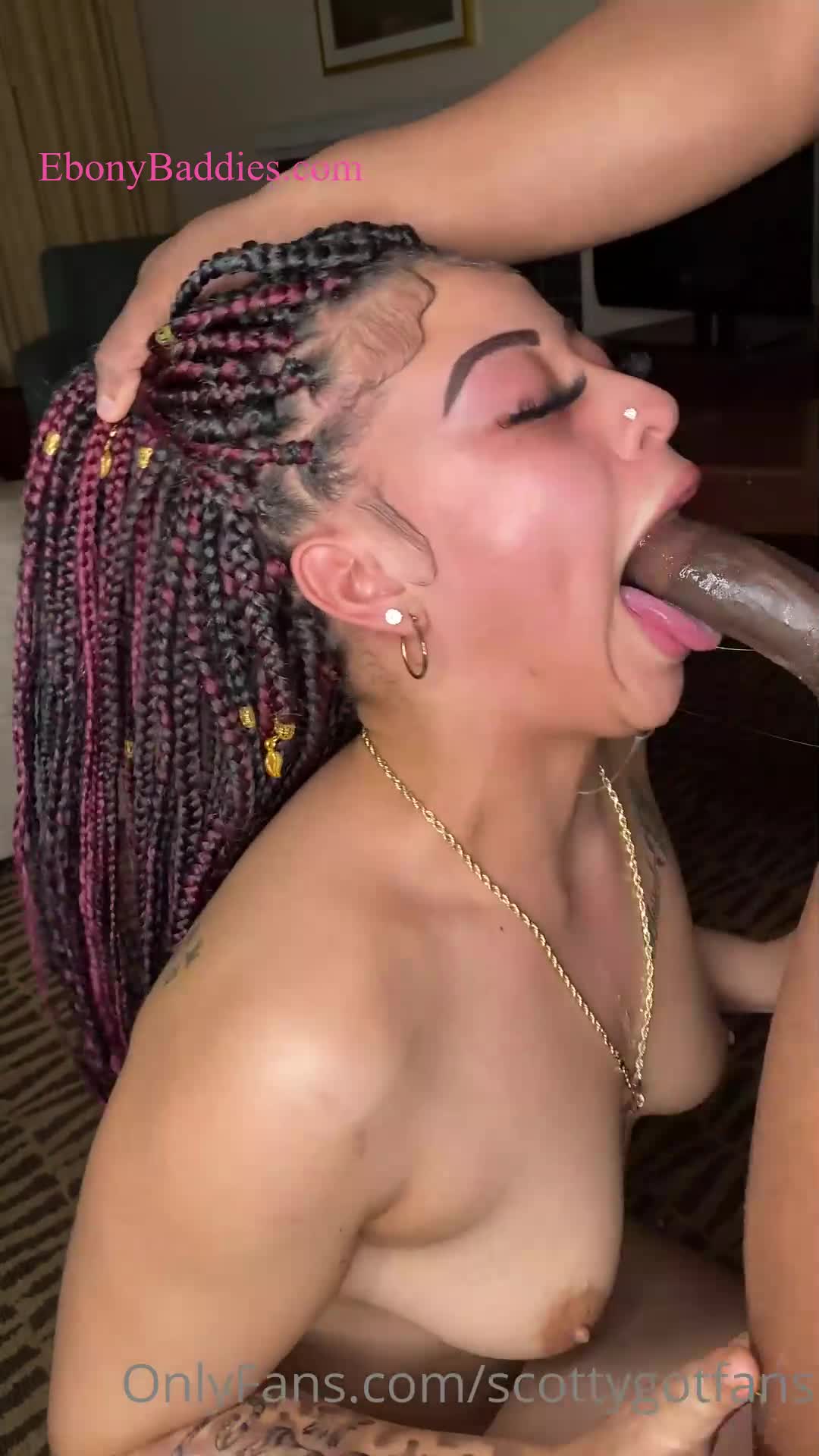 scottygotfans