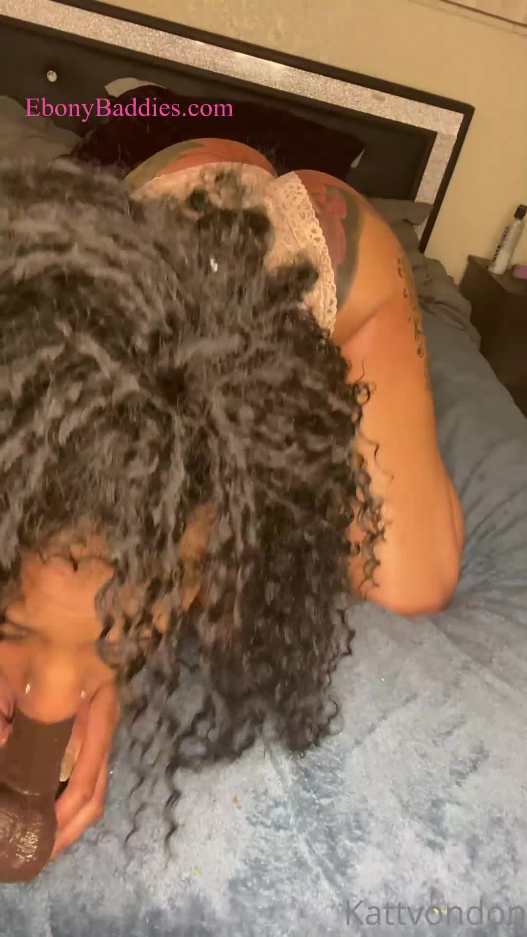 kattvondon  1