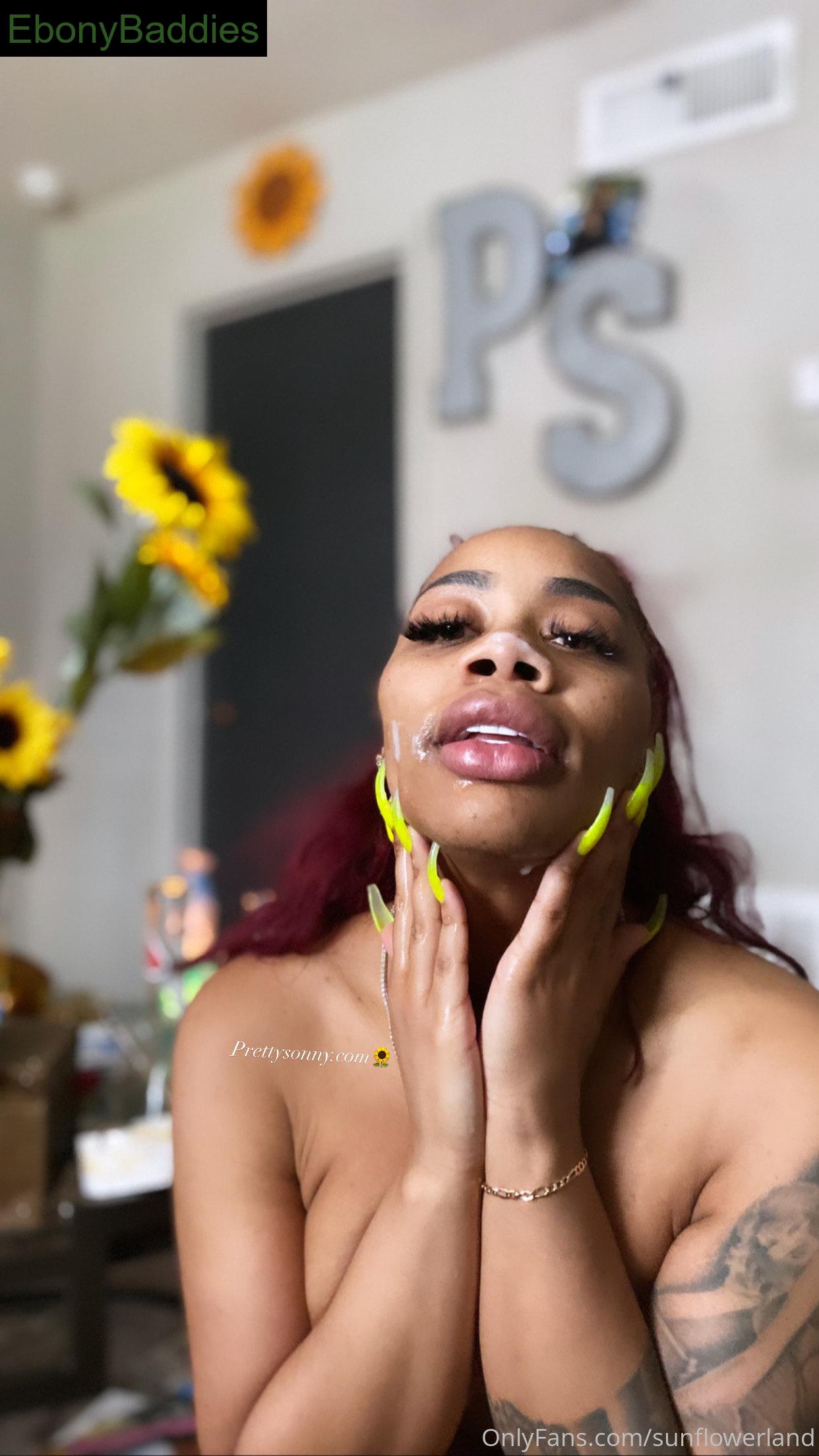 sunflowerland ebony photo 24