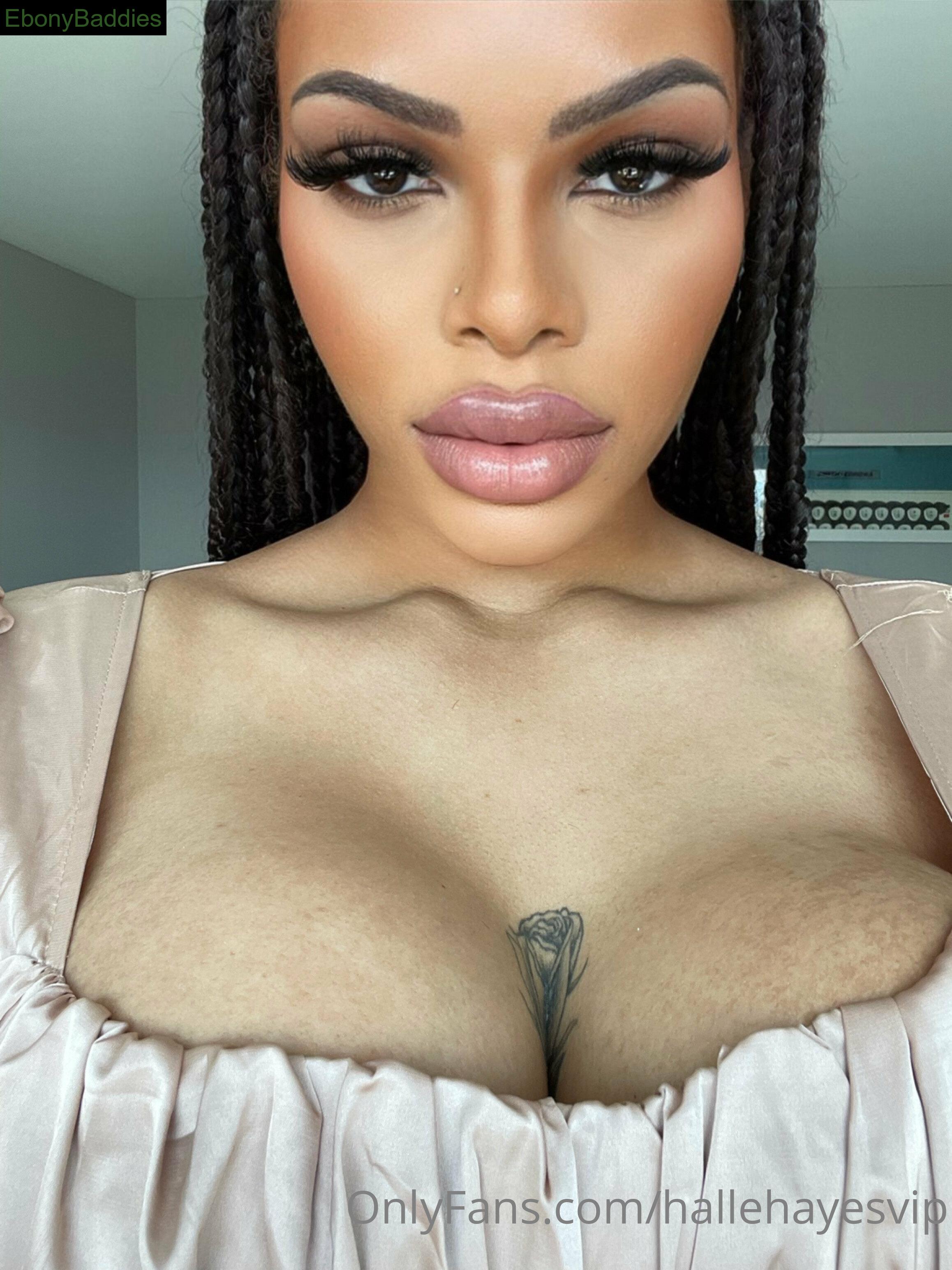 hallehayesvip ebony photo 17