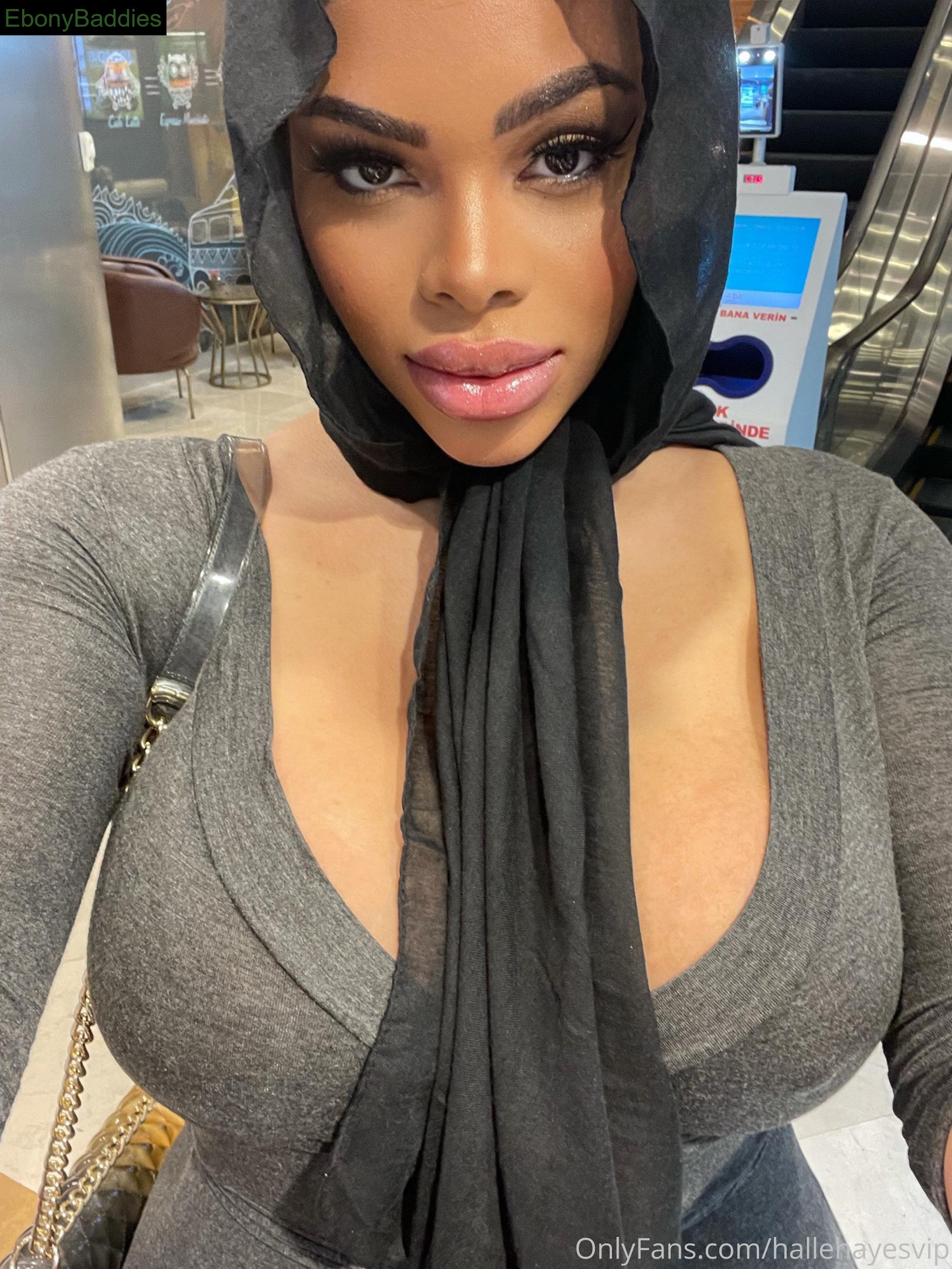 hallehayesvip ebony photo 15