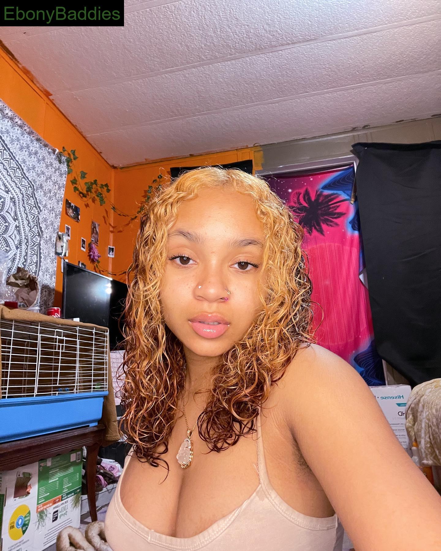 miixeddoll ebony photo 6