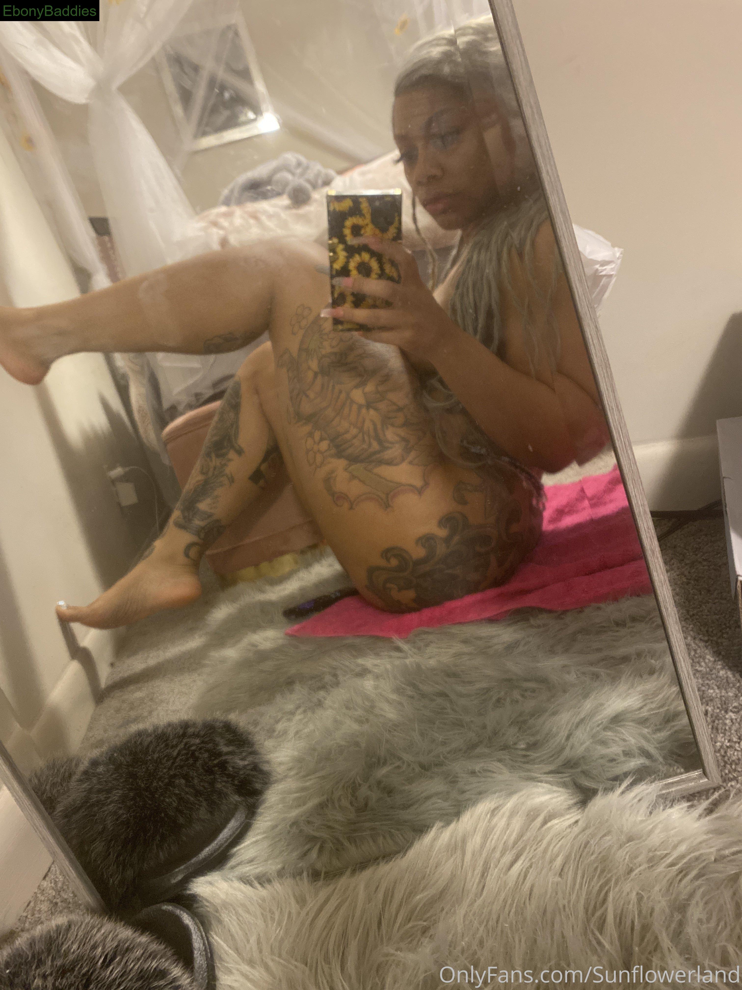 sunflowerland ebony photo 17