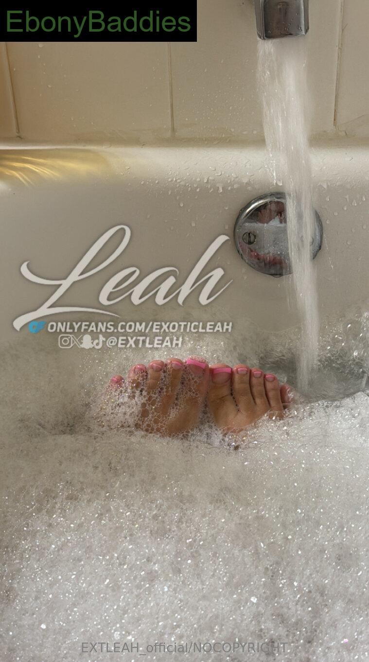 exoticleah ebony photo 3